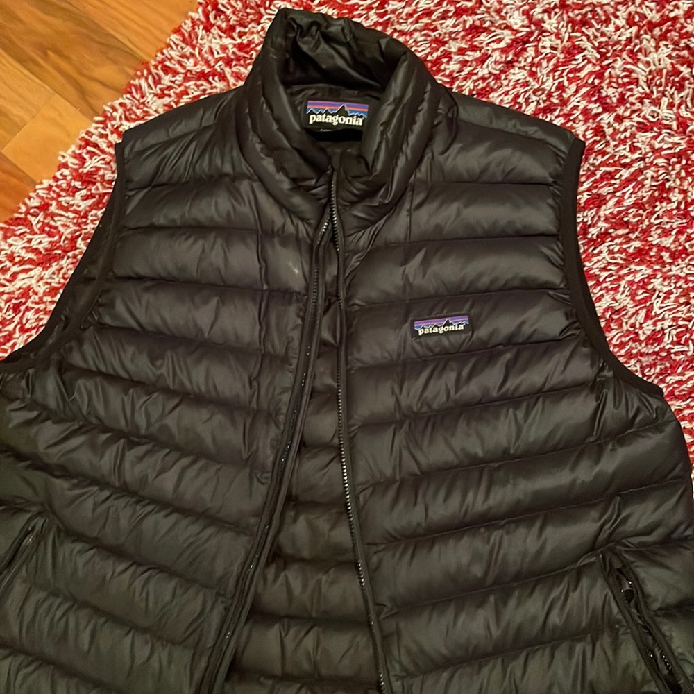 patagonia vest